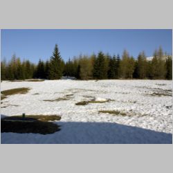 dateso131.jpg
