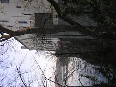 p4235351