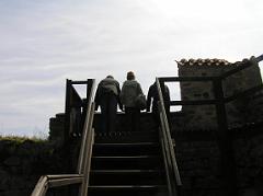 p4225258
