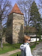 p4225259