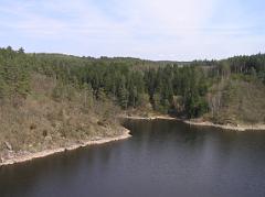 p4225288