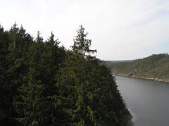 p4225293