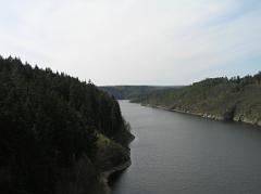 p4225298
